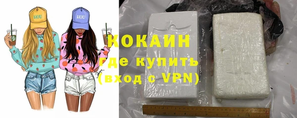 спиды Пересвет