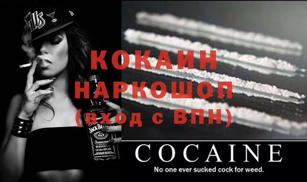 спиды Пересвет