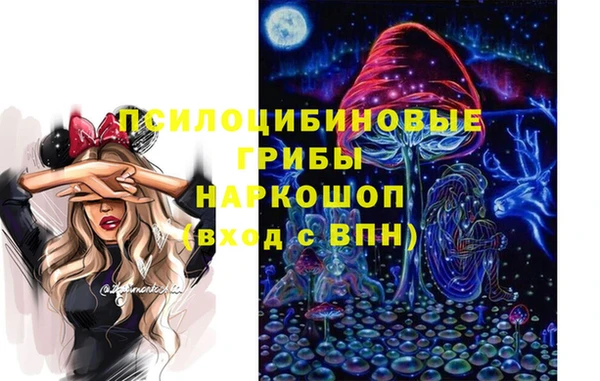 спиды Пересвет