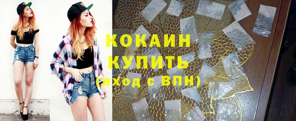 спиды Пересвет