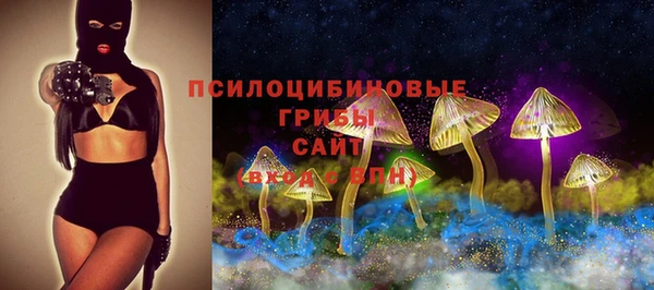 apvp Переславль-Залесский