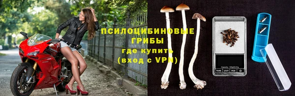 ГАЛЛЮЦИНОГЕННЫЕ ГРИБЫ Осташков