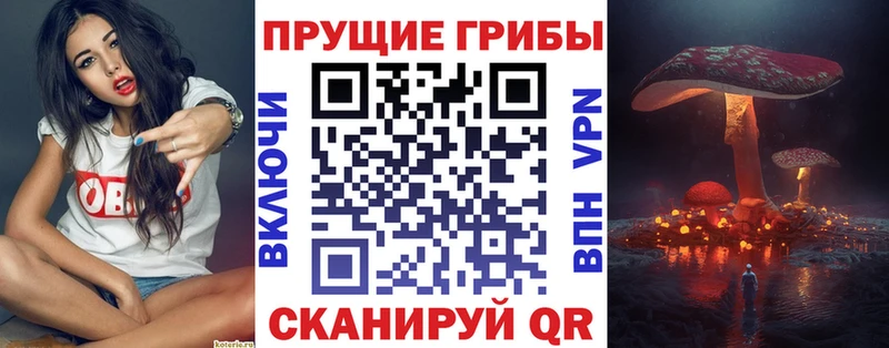 Псилоцибиновые грибы прущие грибы  Ладушкин 